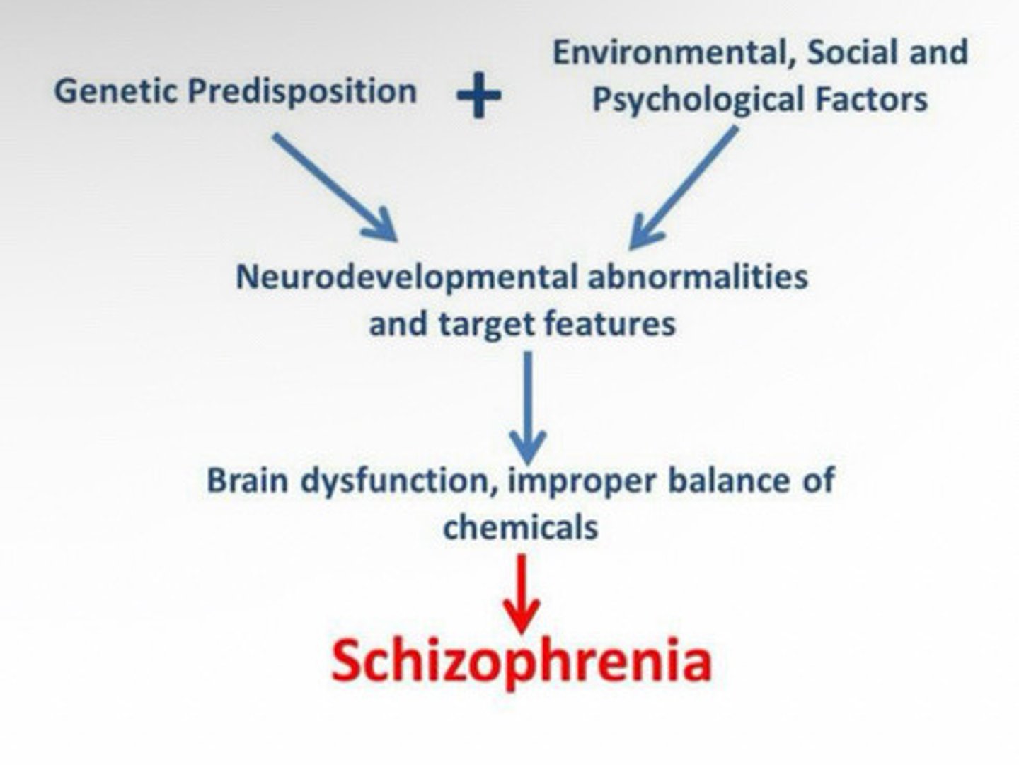 <p>Risk factors/likely causes (etiology):</p><p>~ A neurodevelopmental disorder largely caused by genetic vulnerabilities and environmental exposures.</p><p>Genetics:</p><p>~ Strongest single cause: Heritability 60-80%</p><p>~ Highly polygenetic: 100-1000 genetic variants, each contributing small effects.</p><p>Genes implicated in:</p><p>▪ Synaptic functioning</p><p>▪ Glutamate signaling</p><p>▪ Dopamine regulation</p><p>Neurodevelopmental Disruptions:</p><p>~ Abnormal brain development</p><p>~ Enlarged ventricles</p><p>~ Reduced gray matter</p><p>~ Altered white matter connectivity</p><p>~ Excessive or dysregulated synaptic pruning during adolescence</p><p>~ Disrupted cortical maturation</p><p>Neurochemistry:</p><p>~ Dopamine dysregulation is the most established neurochemical model</p><p>~ Both over-production and over-reception</p><p>~ Hyperdopaminergia in mesolimbic pathways</p><p>~ Hypodopaminergia in the prefrontal cortex</p><p>~ Glutamate dysfunction:</p><p>~ Excitotoxicity</p><p>Environment:</p><p>~ Maternal infection (influenza, toxoplasmosis)</p><p>▪ Severe maternal stress</p><p>▪ Obstetric complications</p><p>▪ Maternal malnutrition</p><p>~ Heavy cannabis use increases risk (especially high-THC</p><p>strains)1</p><p>~ Urban environments</p><p>~ Migration and minority status (likely via chronic social stress)</p><p>~ Childhood trauma</p>