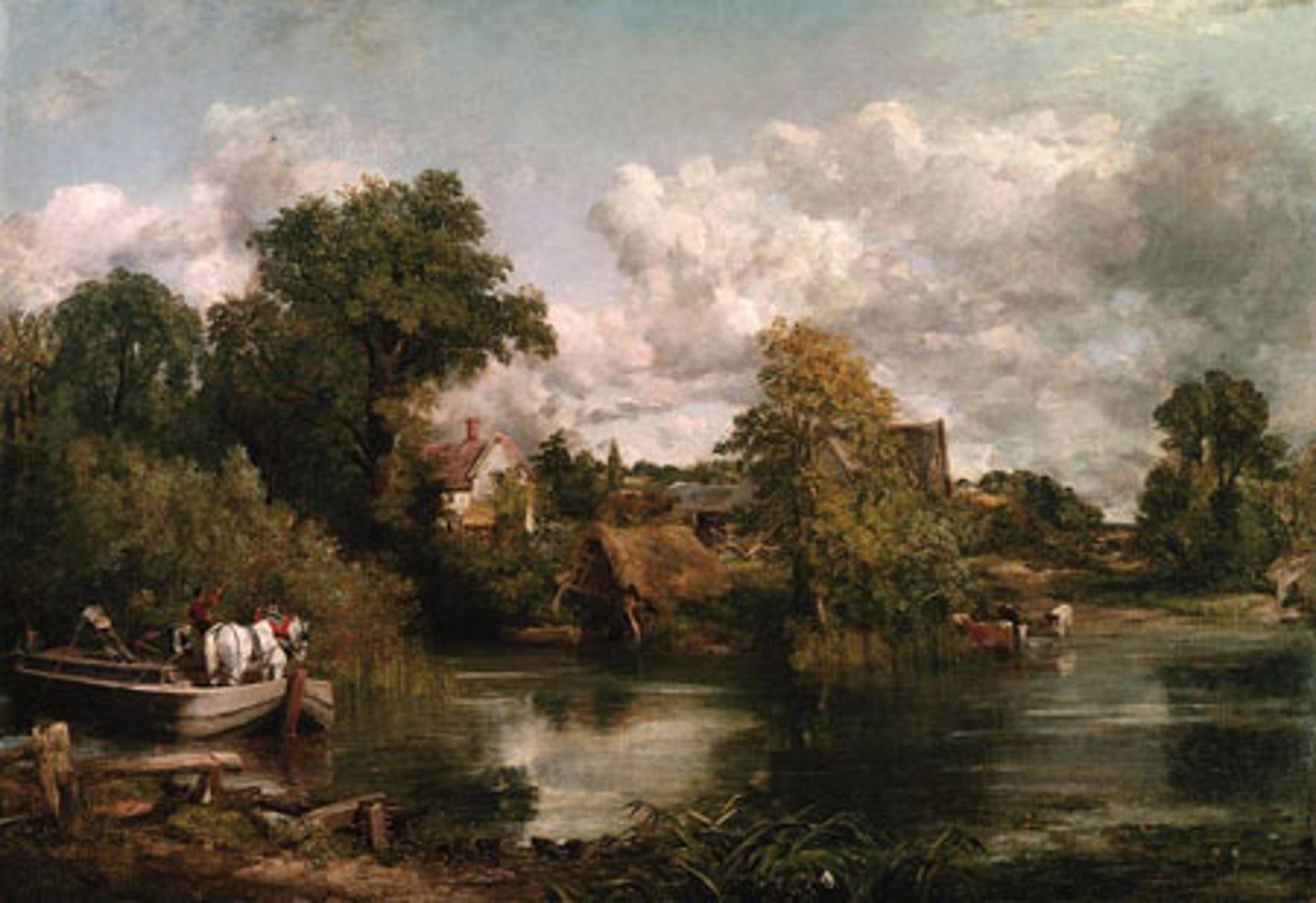 <p>John White</p>