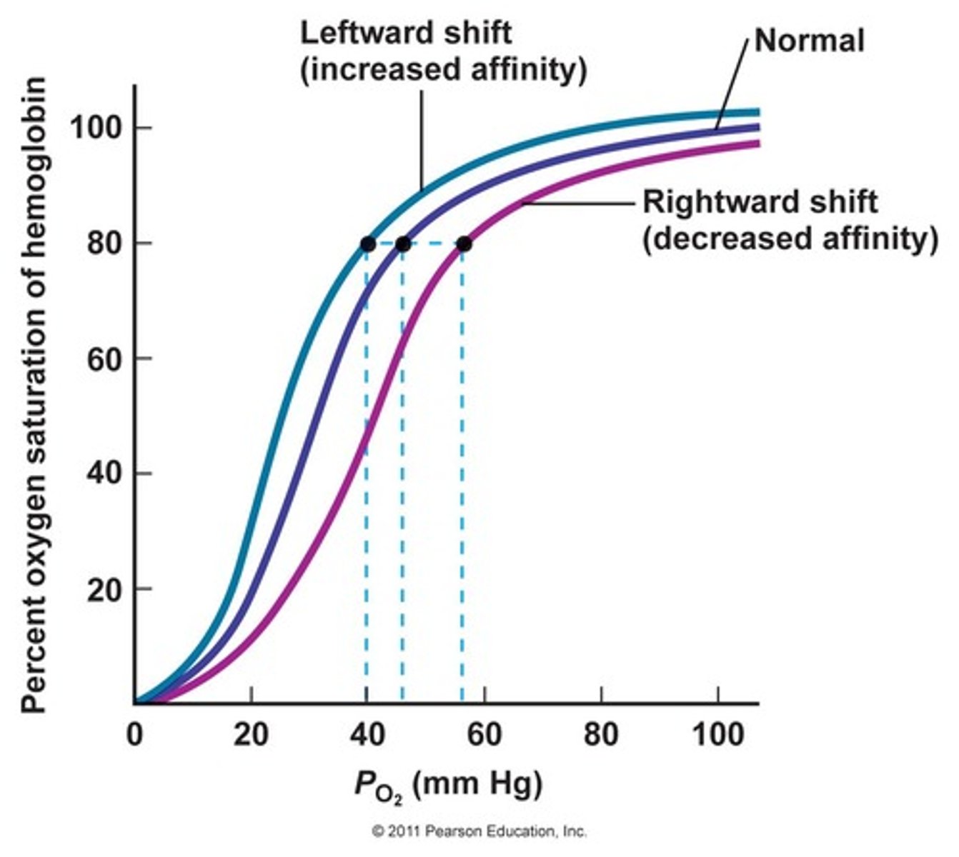 <p>The graph of the relationship between the saturation of haemoglobin with oxygen and the partial pressure of oxygen</p>