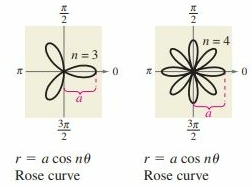 <p>Pole or θ=0</p>