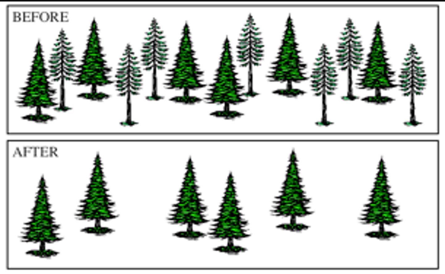 <p>the removal of select trees in an area; leaves the majority of the habitat in place and has less of an impact on the environment</p>