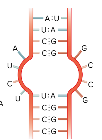 <p>What is this?</p>