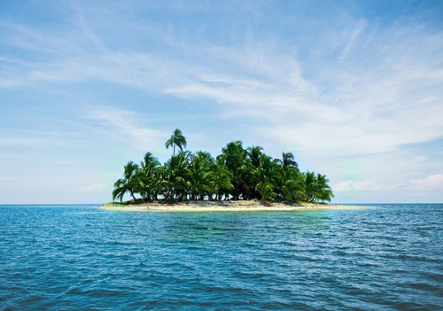 <p>island</p>