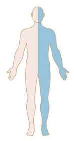 <p>Patterns of Weakness: Identify</p>