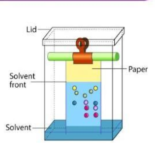 knowt flashcard image