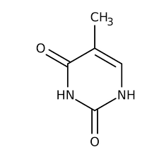 <p>what is this nitrogen base </p>