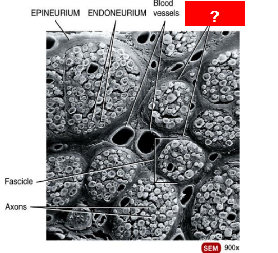 <p>What is this?</p>
