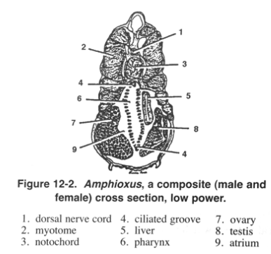 <p>What are these numbers? 4,5,6?</p>