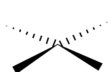<p>Name the 3D shape (2 lone pairs one at top and the other bottom)</p>
