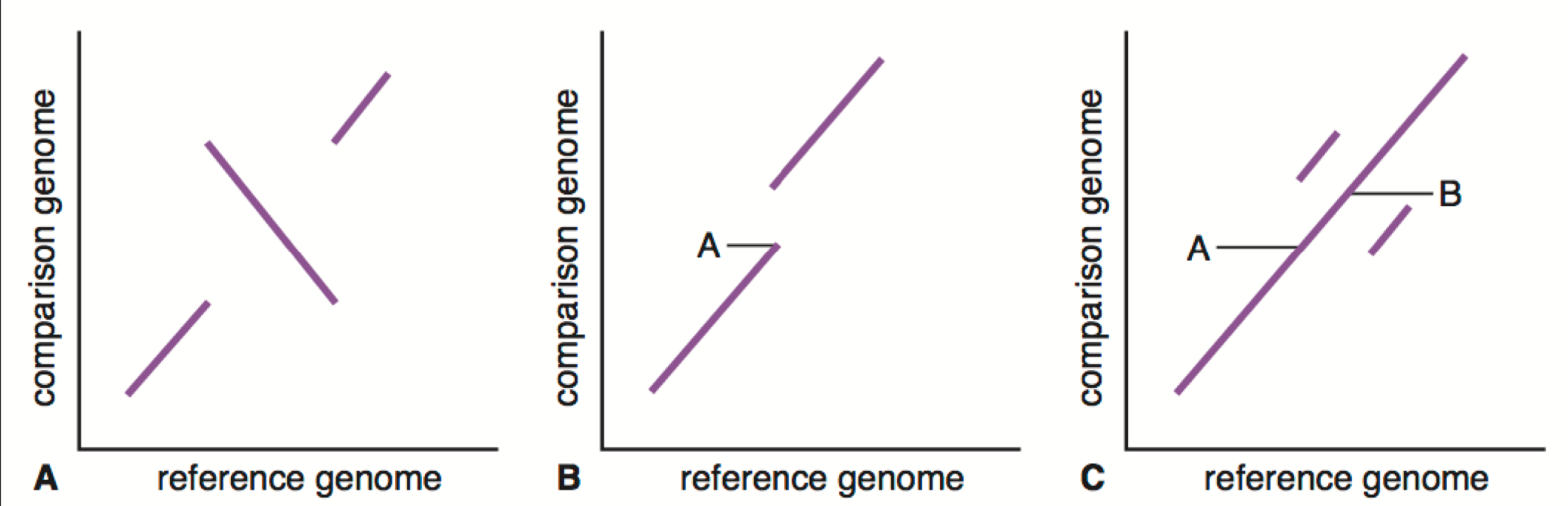 <p>What is A, B, and C</p>
