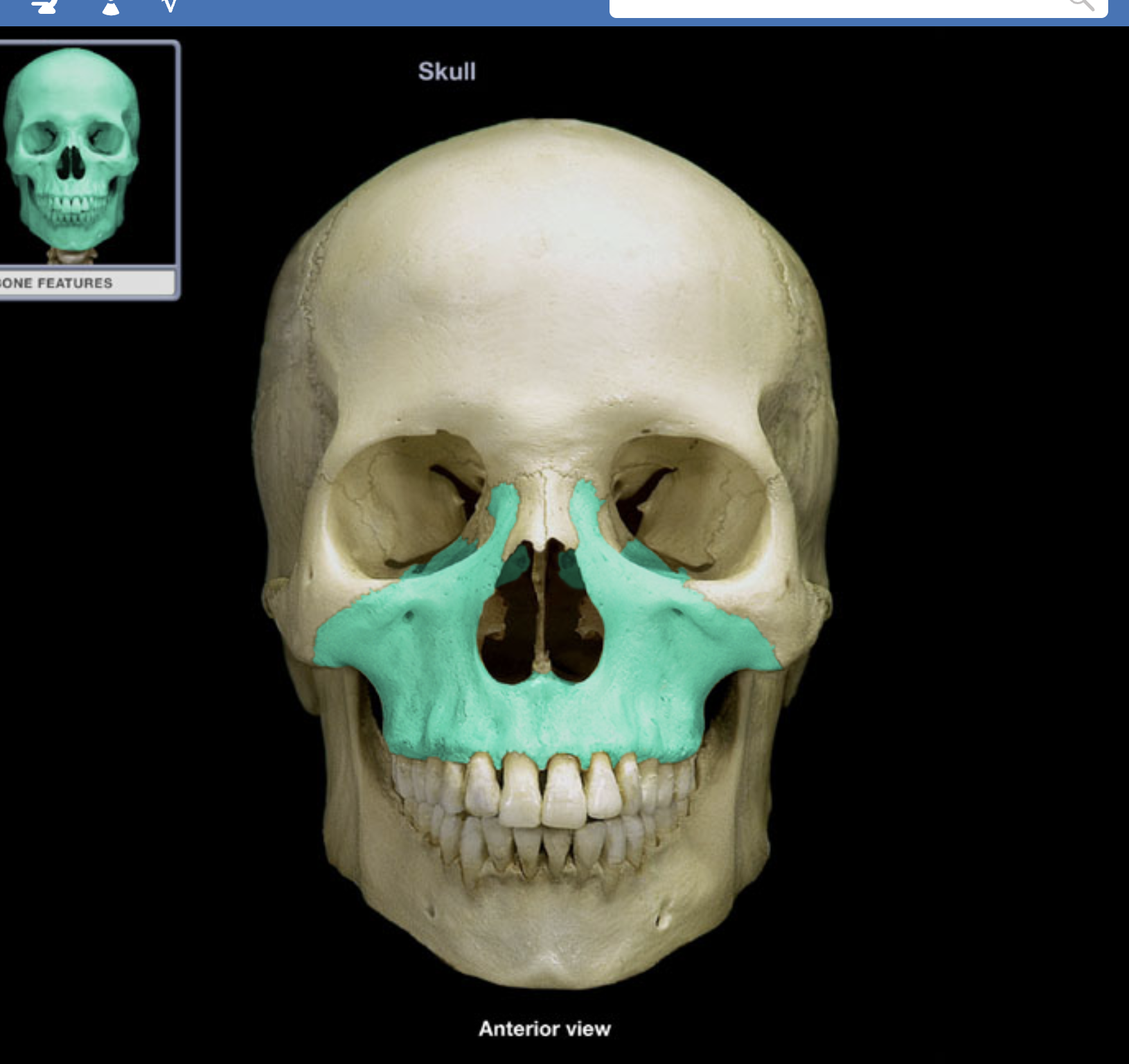 knowt flashcard image