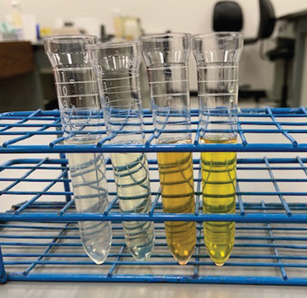 PHYSICAL Examination of Urine Flashcards Knowt