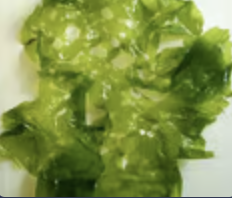 <p>Chlorophytes and Charophytes (includes land plants); marine, freshwater, terrestrial/subaerial; unicellular, filamentous, colonial, multicellular, diverse body forms; chl a, chl b, carotenoids</p>