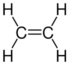 <p>A double line connecting two chemical symbols for the atoms</p>
