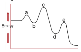<p>30. Which letter represents the <strong><em>activated complex</em></strong> of the rate determining step?</p><p class="p2">&nbsp;</p><p>a. A &nbsp;</p><p class="p1">b. B &nbsp;</p><p class="p1">c. C &nbsp;</p><p class="p1">d. D</p>