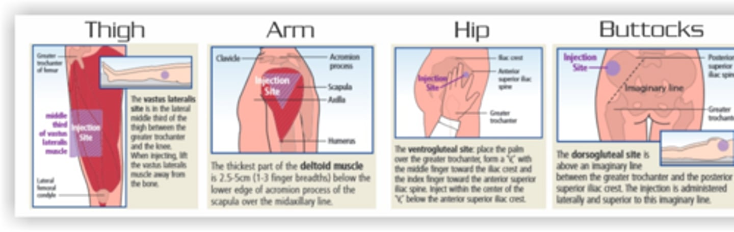 <p>The amount of medication being administered and the size of the muscle</p>