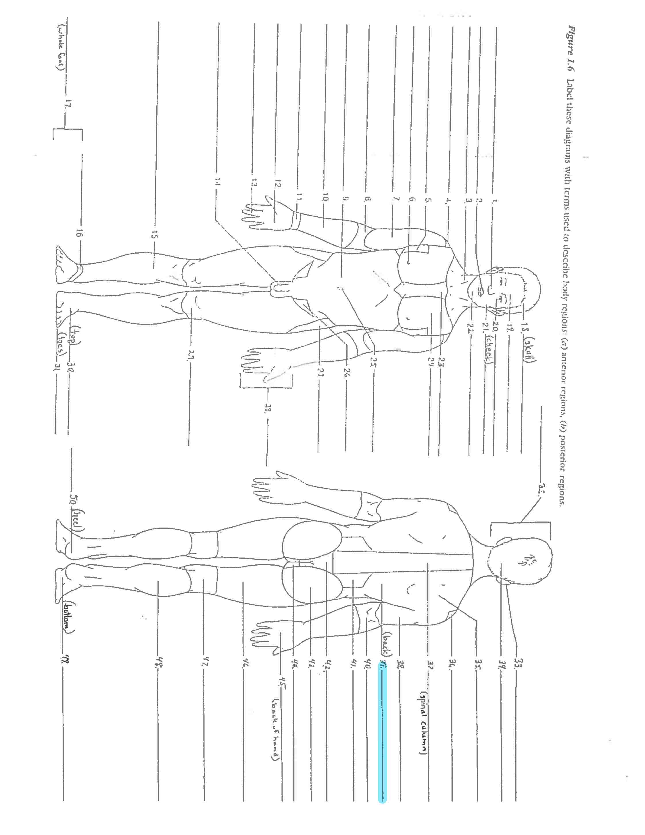 <p>Line 39 </p>