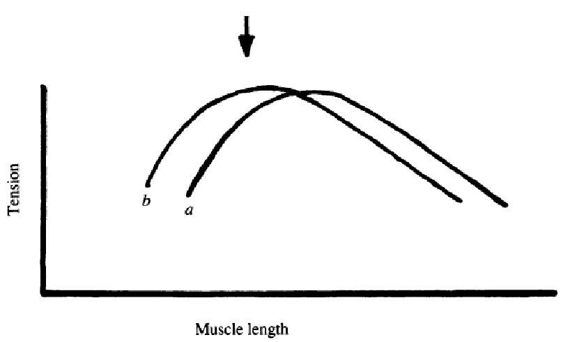 What causes the left shift in this graph?