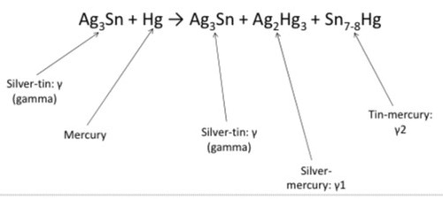 <p>AgSn + Hg --&gt; AgSn + AgHg + SnHg</p><p>(equation = important)*</p>