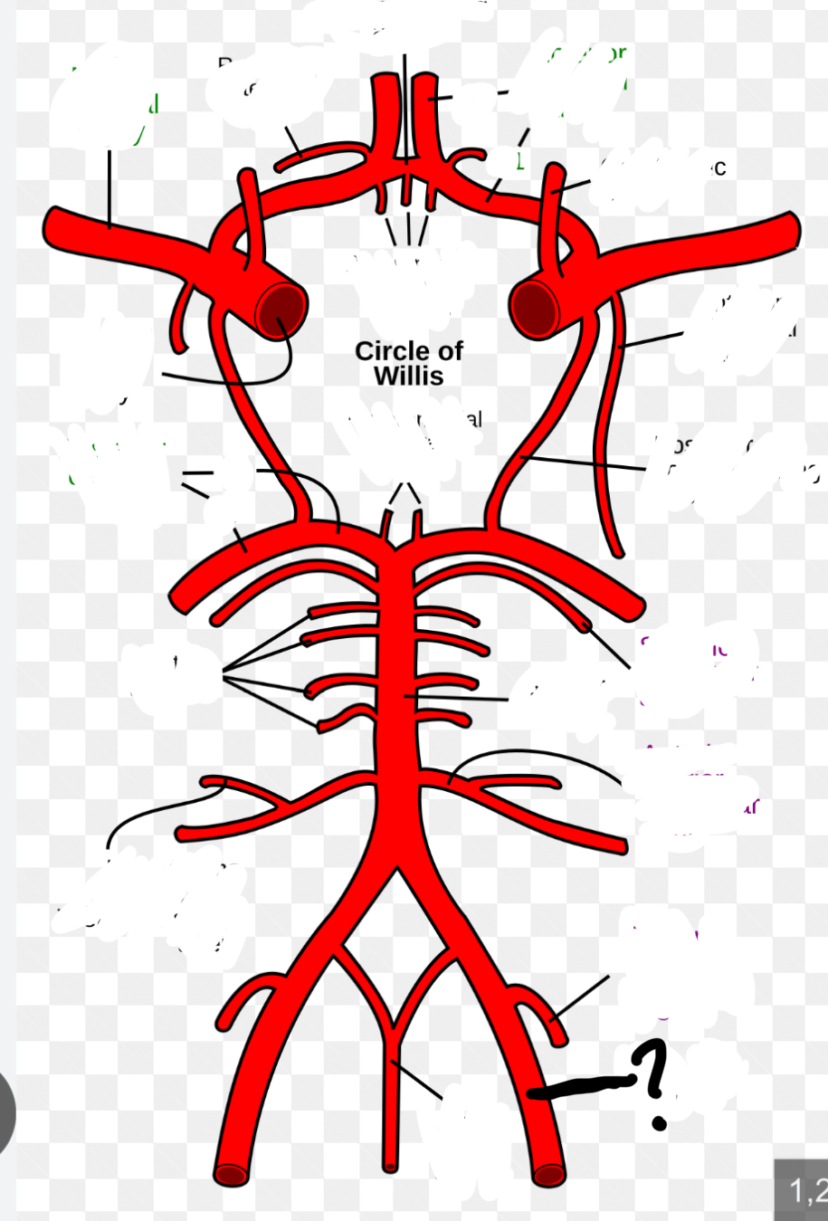 knowt flashcard image