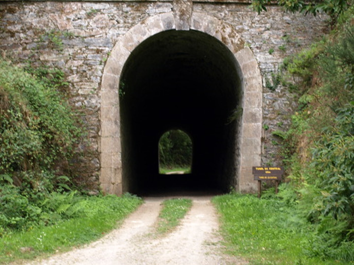 <p>tunnel</p>