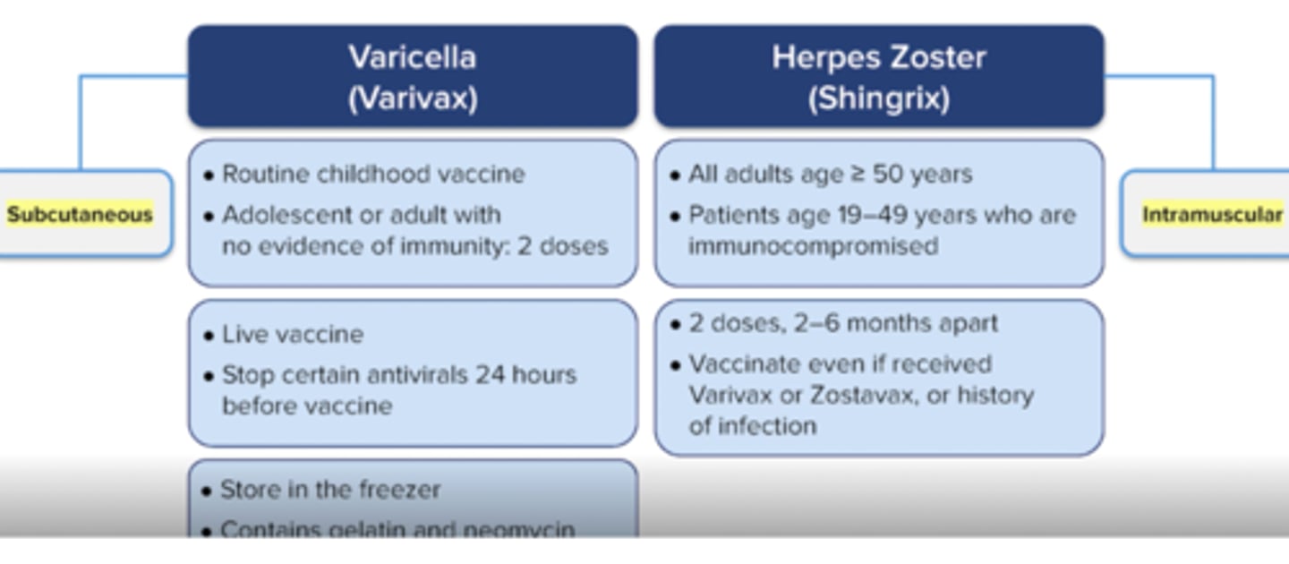 <p>Adults ≥50yo</p><p>19-49 immunocompromised (HCT, SOT, cancer, HIV, etc)</p><p>2 doses --> month 0 and month 2-6</p>