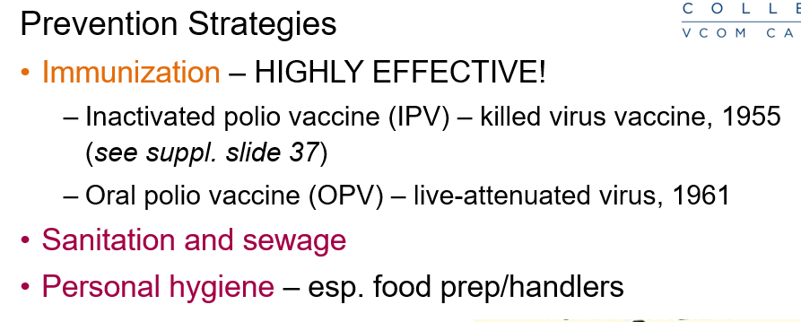 <p>Polio vaccination/immunization</p><ul><li><p><strong>Inactivated Polio Vaccine</strong></p></li><li><p><strong>Oral Polio Vaccine</strong></p></li></ul><p></p>