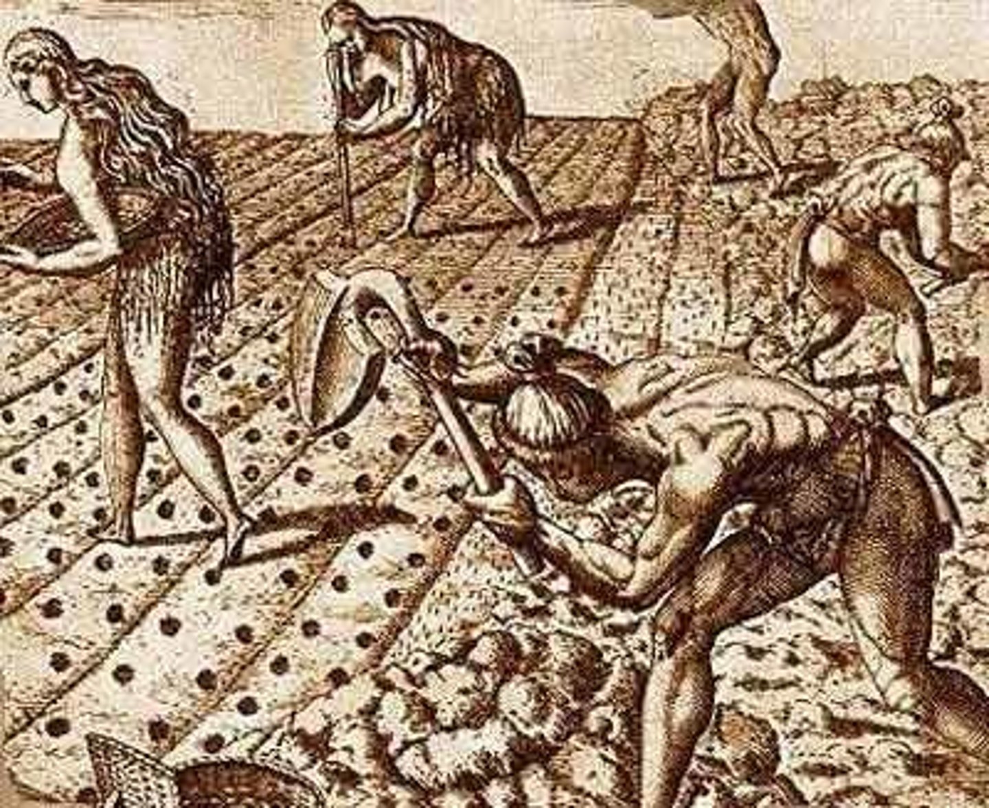 <p>The New Stone Age between 8000 and 5000 B.C.E.; period in which adaptation of sedentary agriculture occurred; domestication of plants and animals accomplished</p>