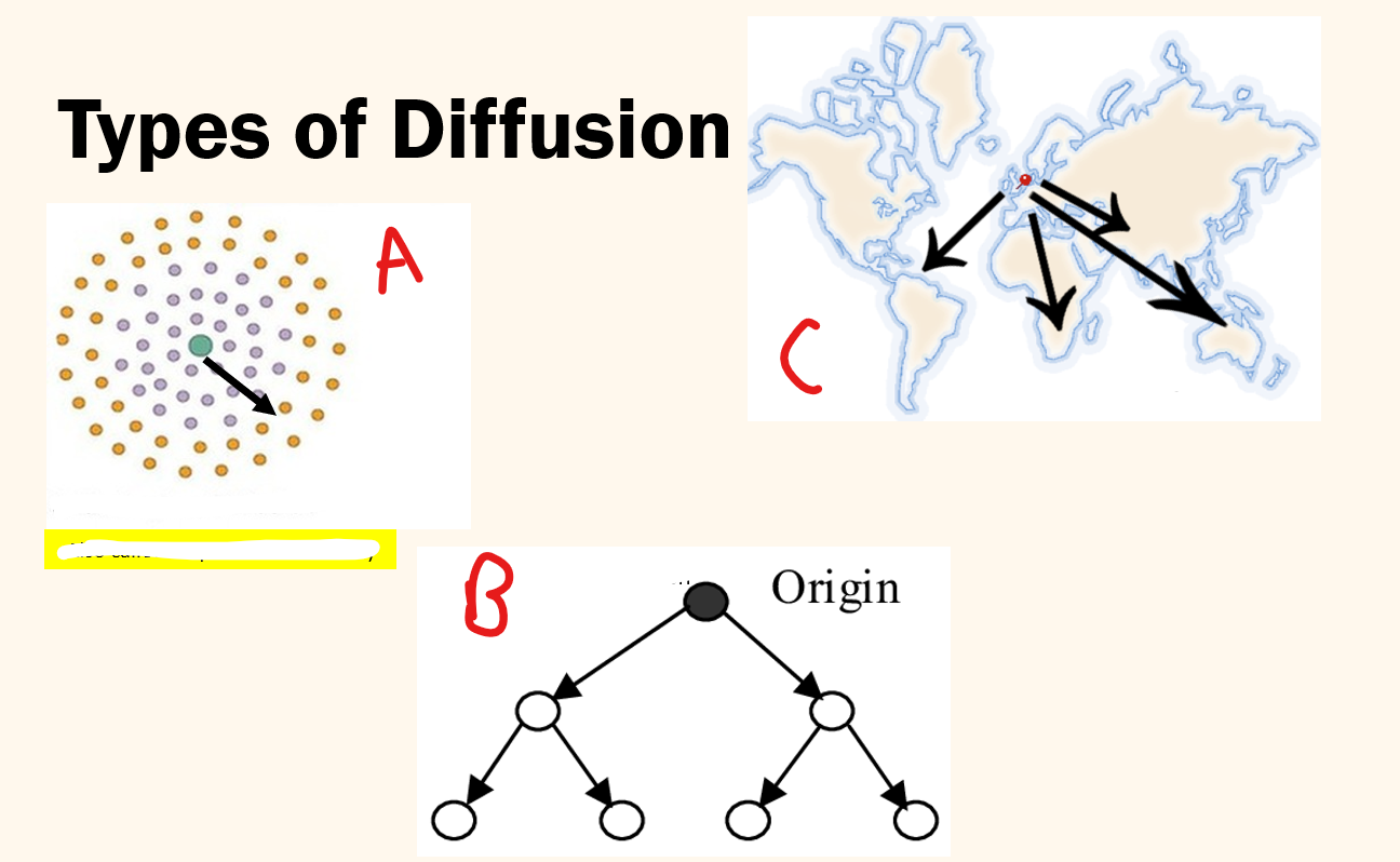 <p>assign what types of diffusion each is </p>