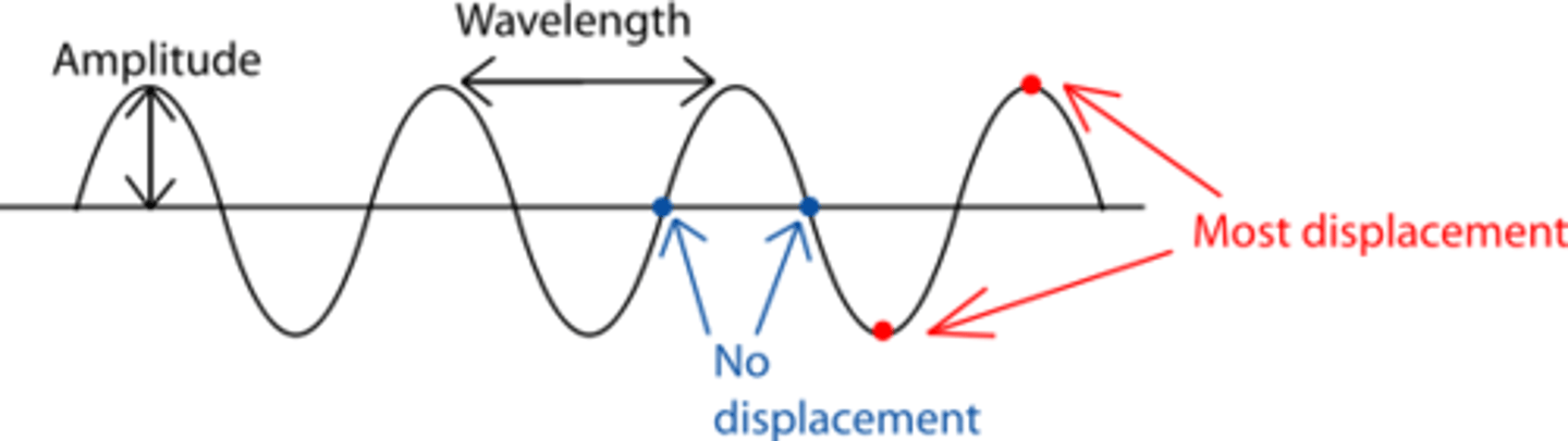 <p>The distance and direction from equilibrium.</p>