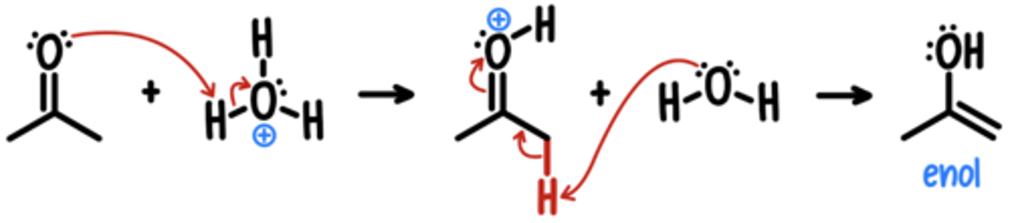 <p>Starting Material: Ketone</p><p>Acidic Tautomerization → Enol</p><p>Reagents: H3O+</p><p>*assume tautomerization will occur if possible</p>