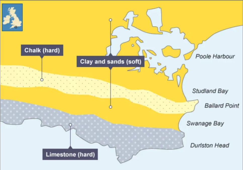<ul><li><p>the area around swanage is made up of bands of harder rock (chalk &amp; limestone) &amp; softer rock (clay &amp; sands)</p></li><li><p>studland &amp; swanage bays</p></li><li><p>durston head &amp; ballard point (headlands)</p></li></ul><p></p>