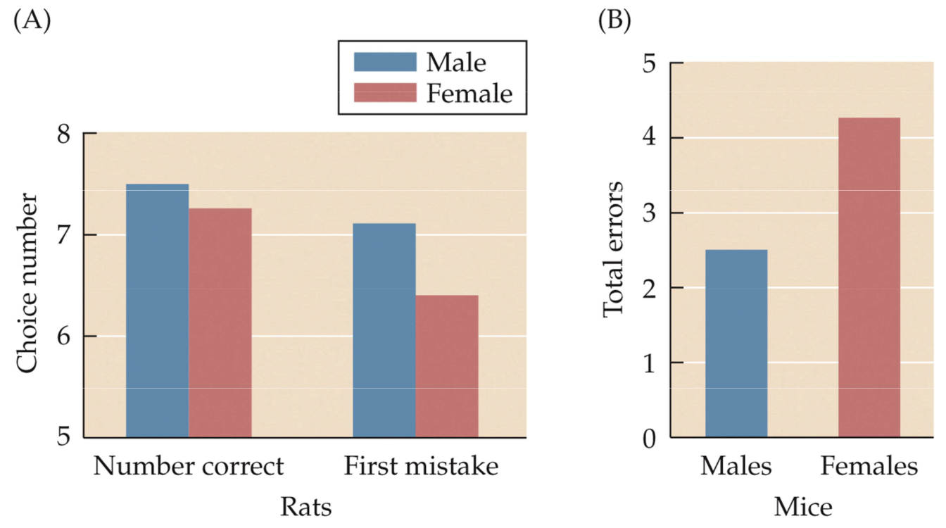 <p>Fig. 12.26 Male rats and mice perform better on radial arm mazes than females</p>