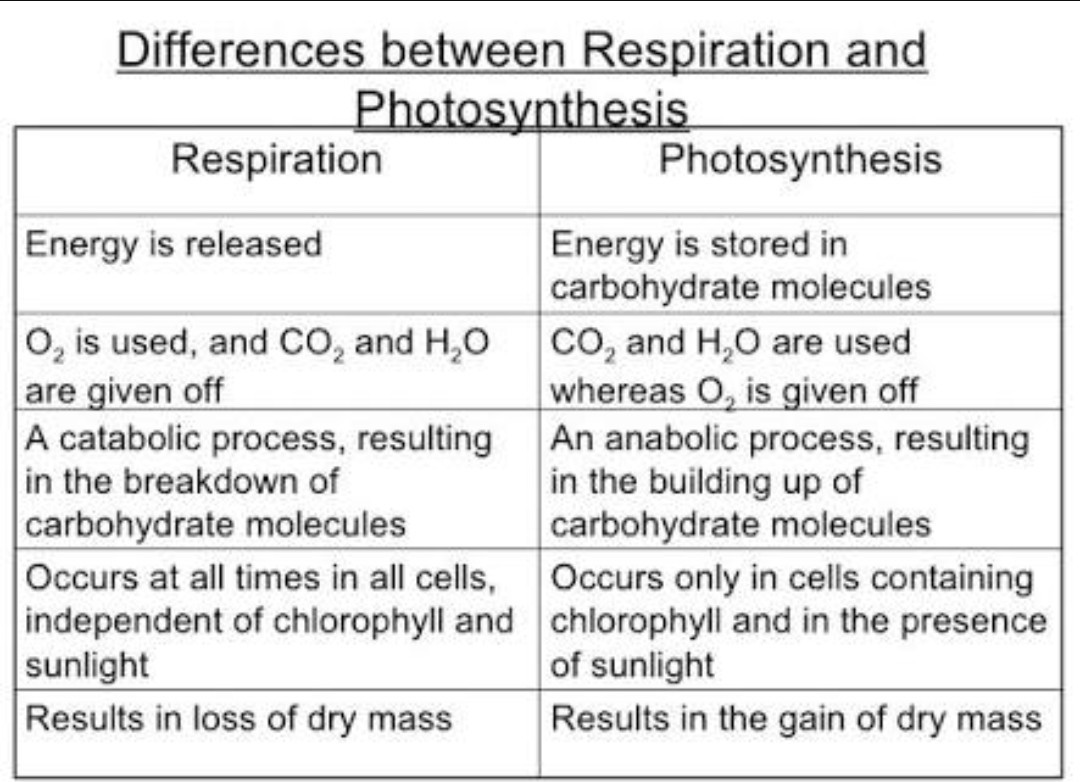 Difference between Respiration and Photosynthesis