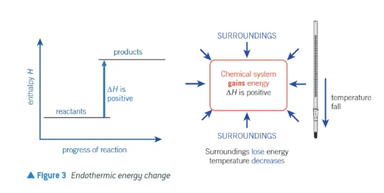 <ul><li><p>∆H is positive </p></li><li><p>chemical system gains energy</p></li><li><p>surroundings lose energy </p></li><li><p>temperature of surroundings decreases </p></li></ul><p></p>