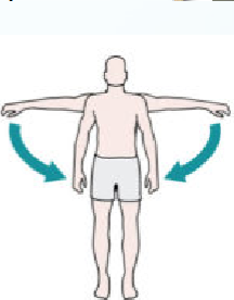 <p>Name joint movement</p>