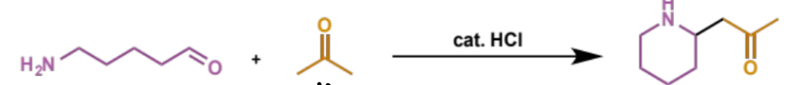 <p>iminium formation is the intramolecular part, iminium trapping by the enol will happen separately</p>