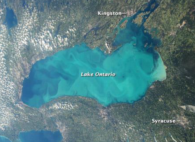 <p>water suddenly becomes chalky white due to the precipitation of calcium carbonate (CaCO<sub>3</sub>) particles</p>