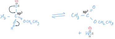 <ul><li><p>one curly arrow points from 1 of the lone pairs of electrons on the oxygen to the C-O bond and the other arrow from the C-OH bond to the oxygen</p></li></ul><p></p>