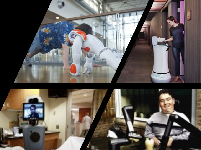 <ul><li><p>Replace other functions or activities, or things (e.g., surveillance robots) </p></li><li><p>Replace a lost limb (e.g., prosthetics) </p></li><li><p>Replace the function of a paralyzed limb and do tasks instead of the limb (e.g., a wheelchair robot)</p></li></ul><p></p>