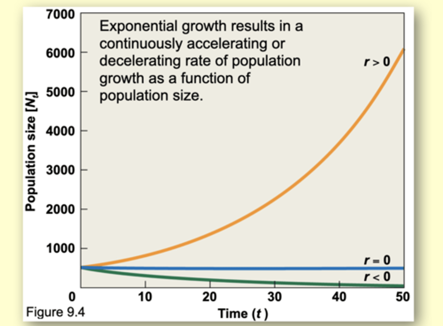 <p>in a continuously accelerating or decelerating rate of population growth as a function of population size.</p>