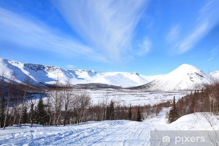 <p>Tundra (n)</p>