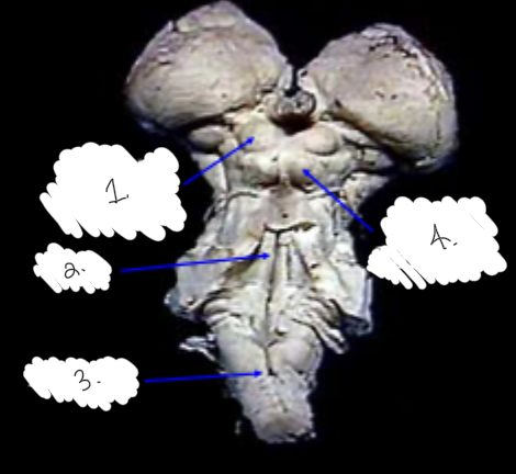 <p>label this diagram</p>