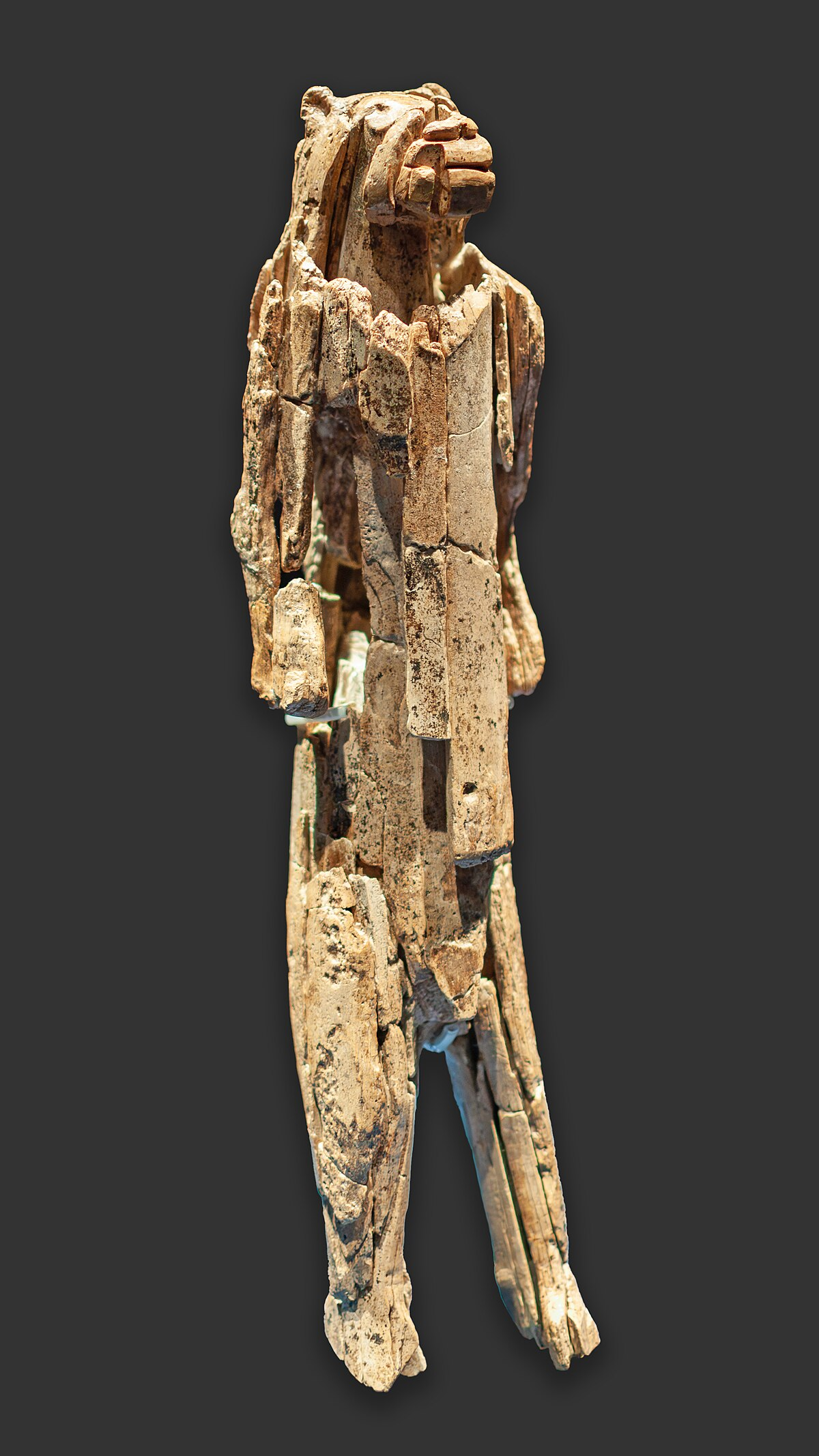 <p>Lion Man</p>