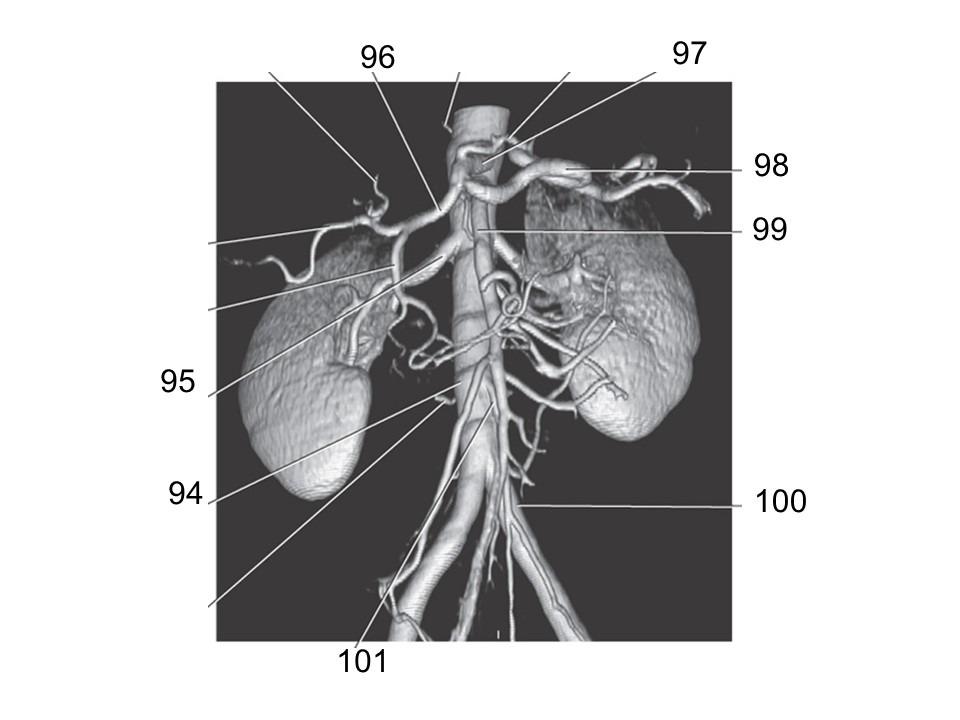 <p>95</p>