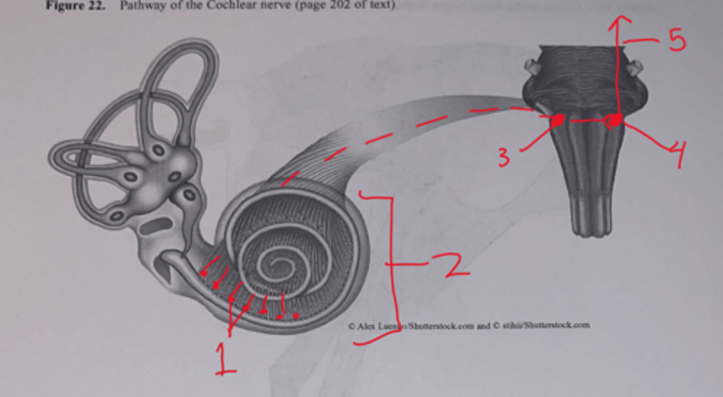 <p>What is number 1?</p>