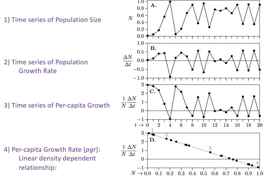 <p>-Time series of Population Size</p><p>-Time series of Population Growth Rate</p><p>-Time series of Per-capita Growth</p><p>-Per-capita Growth Rate (pgr)</p>