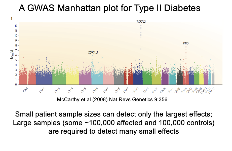 <ul><li><p>look at the Manhattan plot</p></li></ul><p></p>