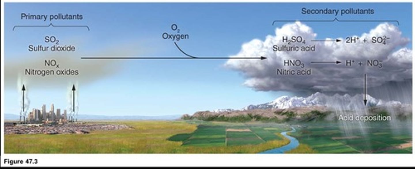 <p>Rainfall with high levels of sulfuric and nitric acids.</p>