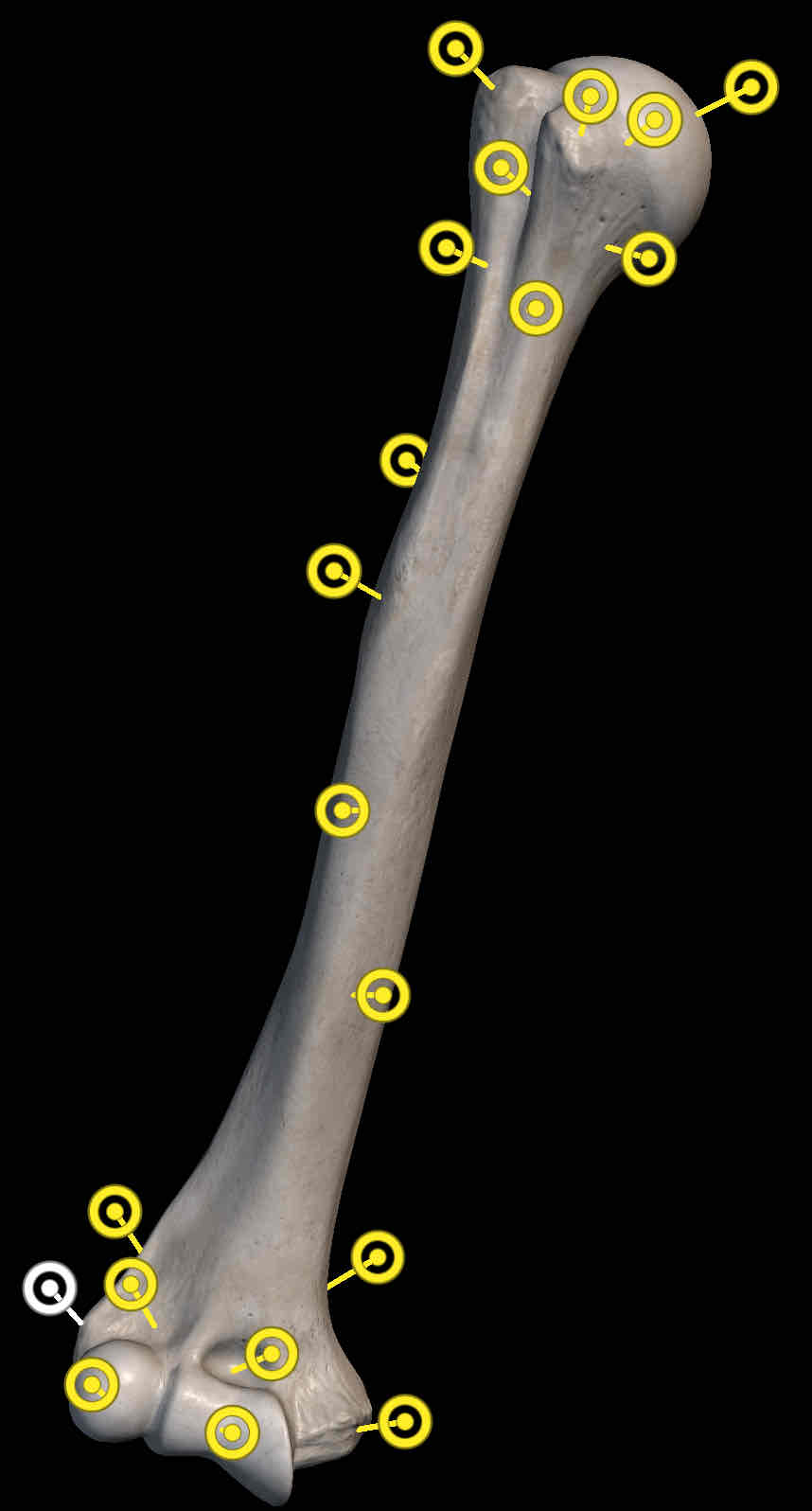 <p>Name the structure </p>